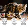 Cats Taurine Powder Supporting Heart Health 200g High Purity Taurine Powder for Cats Heart Health Vision Immune Support Easy Mix