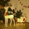 Christmas Light-up Reindeer and Sleigh with 170 Warm White LEDs, Christmas Decoration for Indoor and Outdoor Use, 50x29x42cm