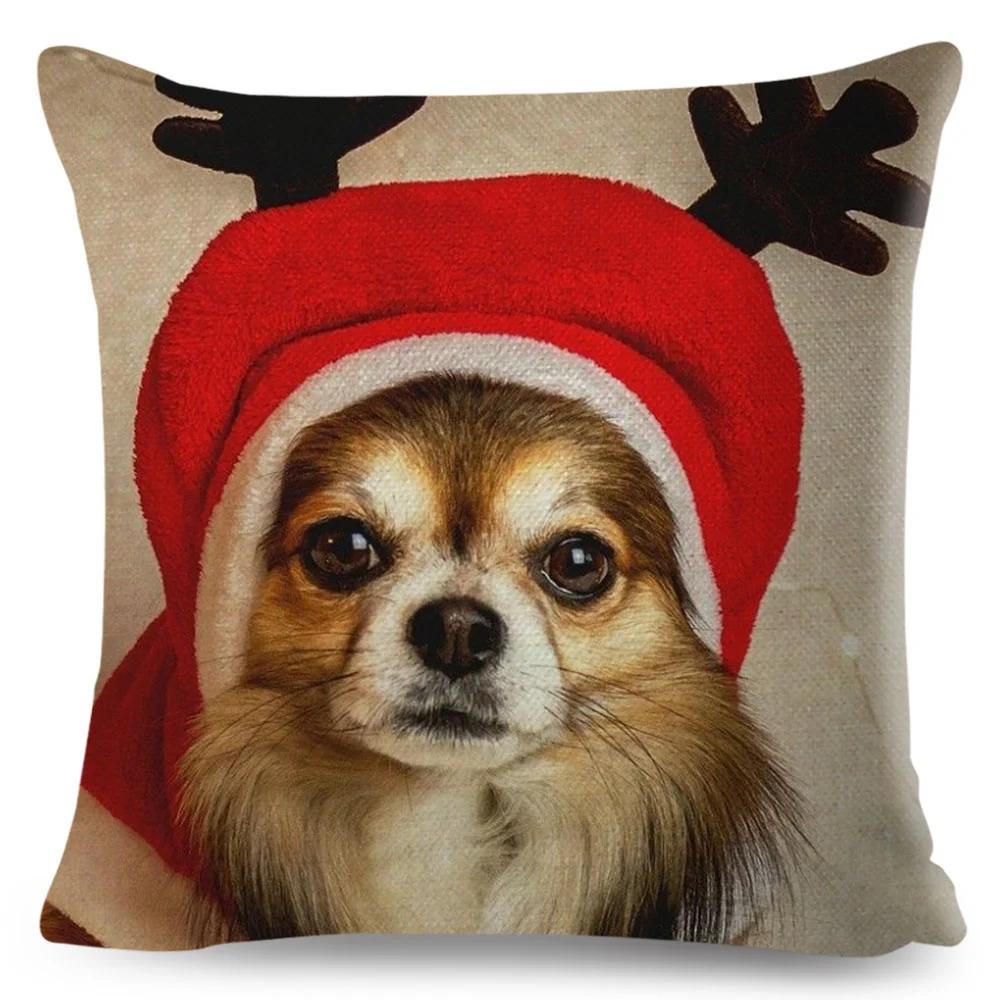 Niedlicher Kleiner Hund Chihuahua Kissenbezug Deko Liebes Haustier Tier Kissenbezug Polyester Überwurf Kissenbezug für Sofa Zuhause Auto 45x45cm