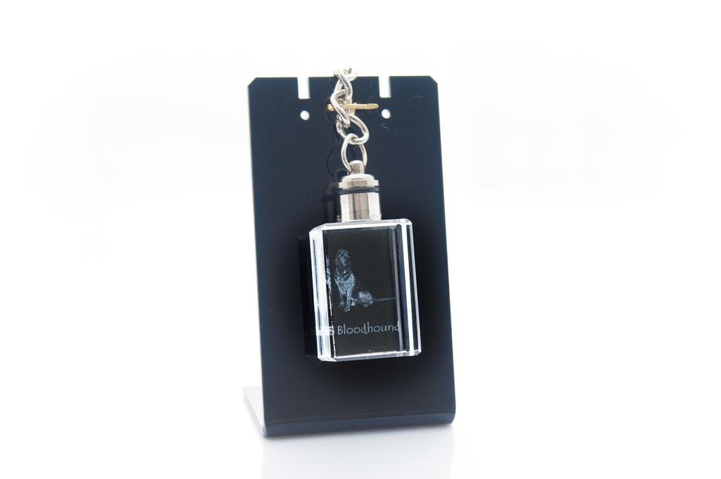 Bloodhound, St. Hubert Hound, Sleuth-hound - Crystal Key Ring with Dog Photo, Illuminated Key Ring, Unique Gift by Art-Dog Brand