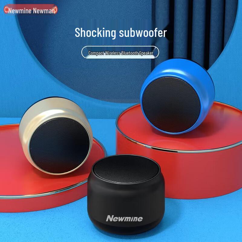 Newman BT31 Wireless Portable Bluetooth Speaker