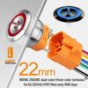 Lanbo 22A Stainless Steel Illuminated Self-Locking Momentary Push Button Elevator Switch