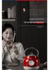 Mckaka Retro Electric Kettle - Integrated Insulation, Auto Constant Temperature Household Kettle