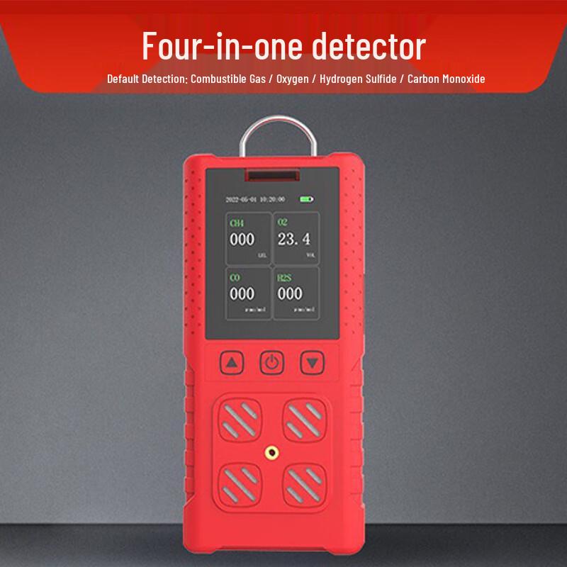 Portable Gas Detector