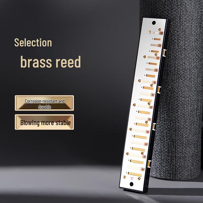 Guoguang 24-otworowa harmonijka polifoniczna dla początkujących - tonacja C zestaw prezentowy