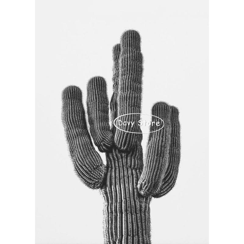 Cactus Posters and Prints Canvas Painting Boho Cactus Black and White Modern Wall Art Picture for Living Room Home Decor