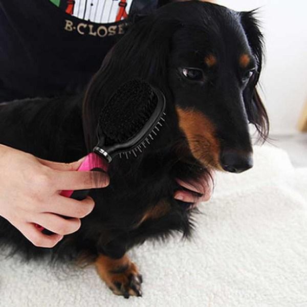 Babion Pet 2in1 Pin Bristol Brush 051R 215x60x50 Mm, Korean Pet Shampoo
