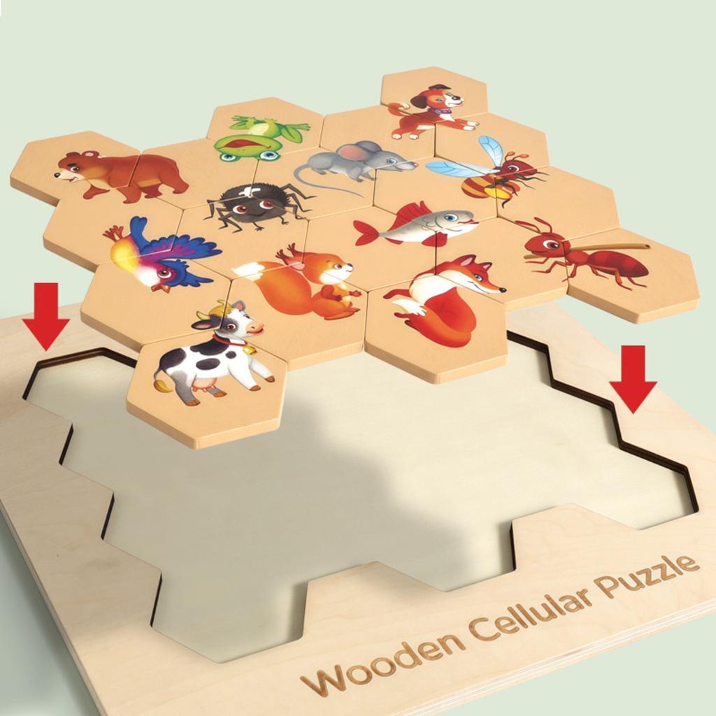 Wooden Puzzle, Shape Matching Honeycomb Puzzle