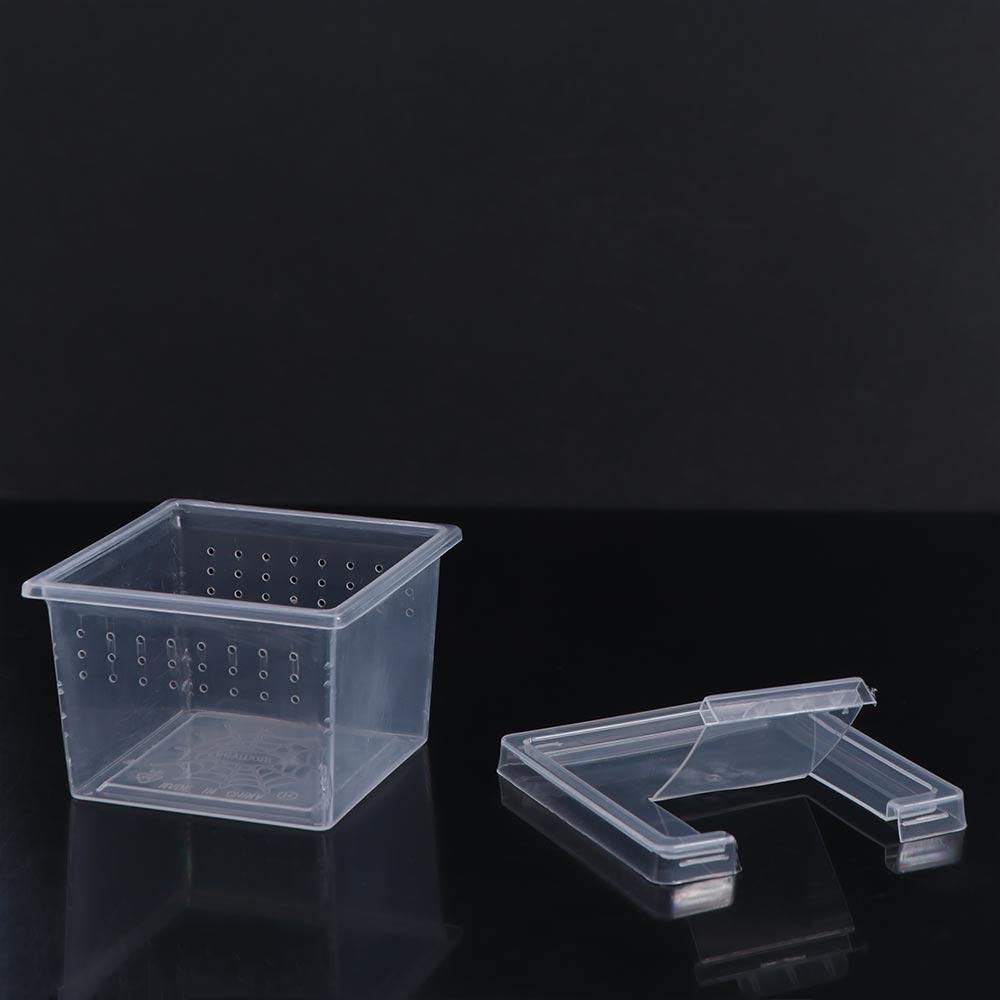 Transparent Household Insect Feeding Box Hatching Tank Reptile Habitat Lizard Living Box