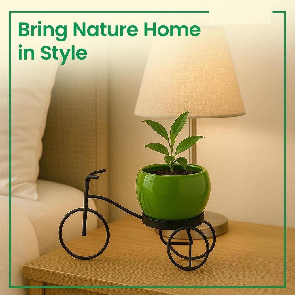 Cykelformat växtställ i metall för inomhus- och utomhusbruk, cykelvas i metall, dekorativ grytunderlägg i järn för blommor och ornament