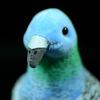 Süße wilde Taube Plüschpuppe Simulation Hill Pigeon Puppe Simulation Tier Vogel Plüschtier Geschenke
