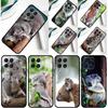 Australian Koala Cover For Samsung Galaxy M55 M15 M33 M13 M23 M53 M31 M51 M14 M34 M54 M20 M30s M52 M32 Case