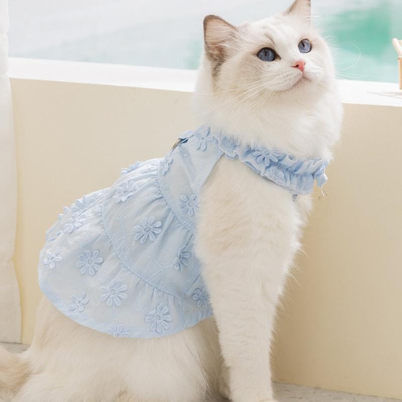 Spring and summer thin daisy skirt lace collar cat and dog clothing two-legged casual wear
