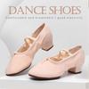 Dance Sport Shoe Dance Women Teaching Dance Shoes Canvas Ladies Dancing Shoes Ballroom Standard Shoes