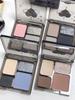 Low Saturation Milk Blue Eye Shadow Plate! Biya Light Face Work Clothing Matte Glitter Delicate Gray and Brown Earth Cement Gray Niche Style
