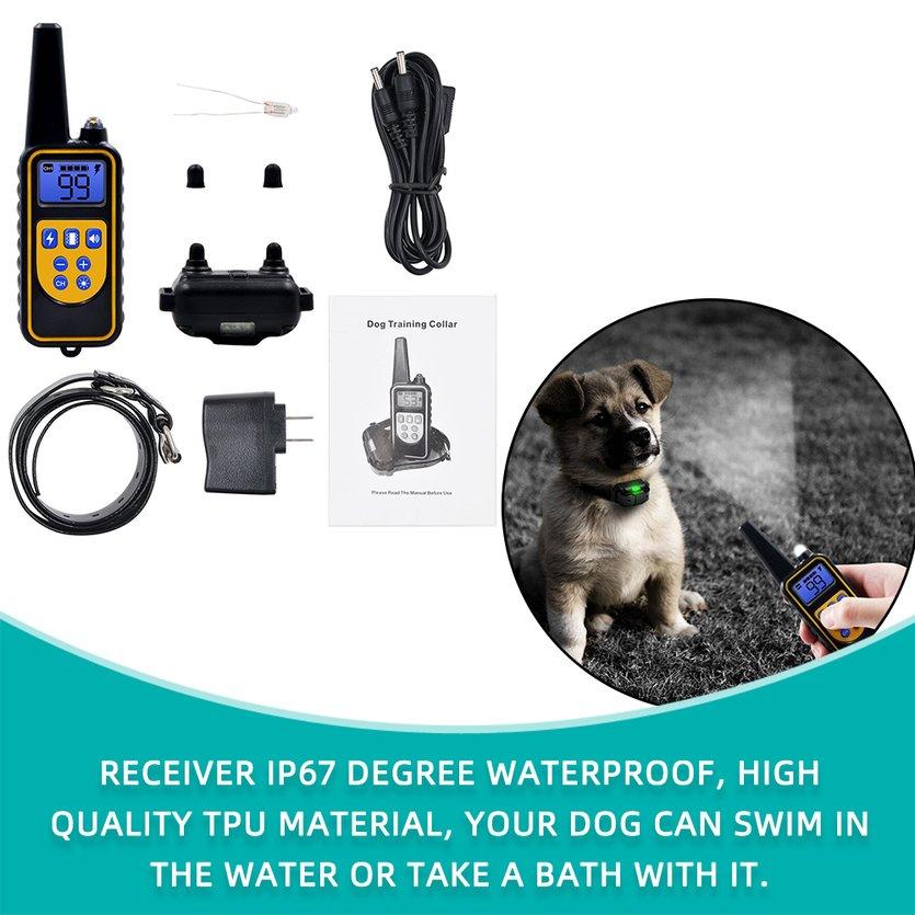 shock collar systems