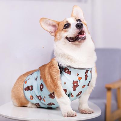 New Ins Dog Apron Anti-cold Clothes Warm Method Bucket Raincoat Pet Waterproof Bib Cotong Printing Designer Dog Clothes