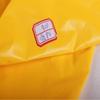 Waterproof Glossy 40D PU Nylon Down Jacket Fabric