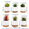 Facecolor Mini Ceramic Cactus Planter Ceramic Set of Succulent Flower Ceramic Succulent Small Planter Pots for Mini Suitable for Mini Bamboo Saucer