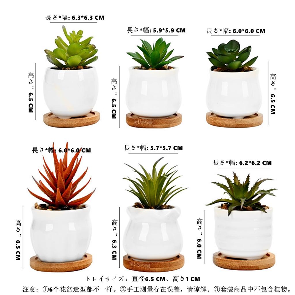 Facecolor Mini Ceramic Cactus Planter Ceramic Set of Succulent Flower Ceramic Succulent Small Planter Pots for Mini Suitable for Mini Bamboo Saucer