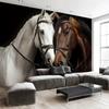 Realistic Black And White Horses Tapestry, Sunset Sky Wall Hanging Blanket, Boho Home Decor For Living Room Bedroom Background