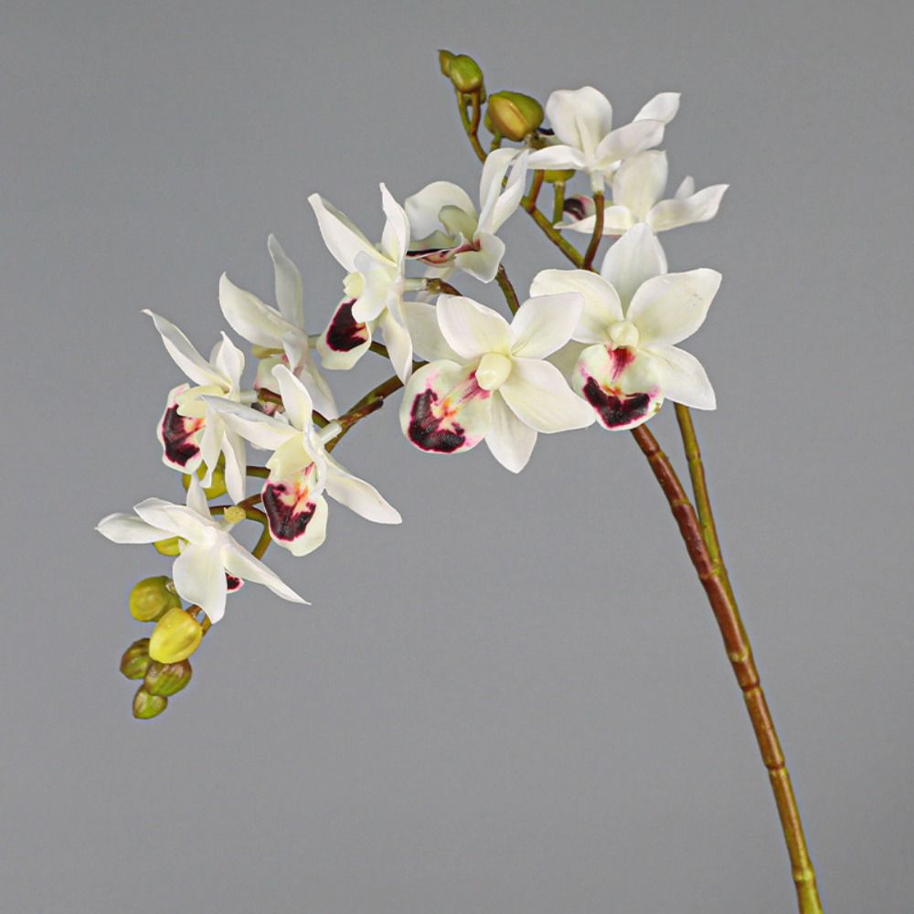 Real Touch Artificial Phalaenopsis Branches 2 Fork Fake Flowers  Garden Decoration