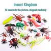 Cross-Border Insect and Animal Simulation Set: Mantis, Beetle, Scorpion, Bat, Centipede for Science and Education