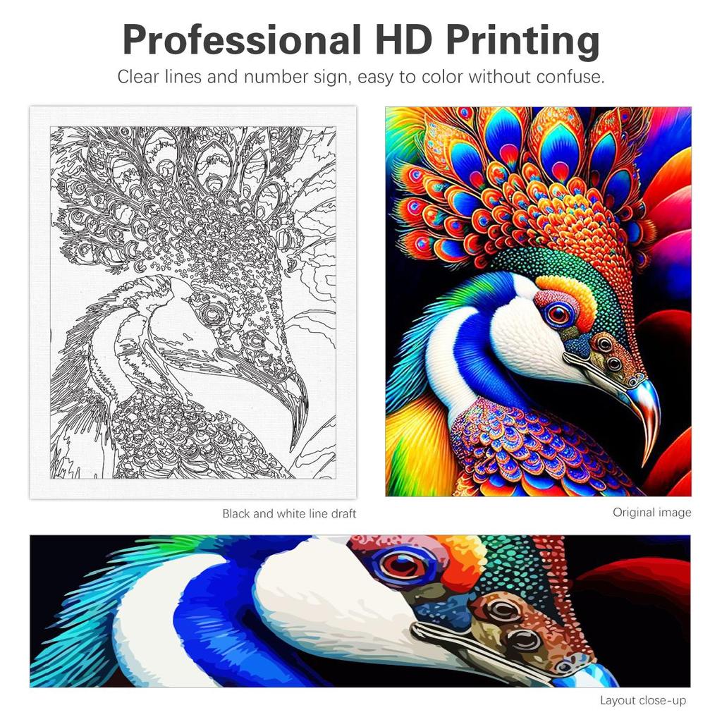 Kit De Pintura Por Números De Pavo Real Arcoíris Con Marco | MEIYUDA | Lienzo 30x40 Cm | Manualidades Para Adultos Y Niños