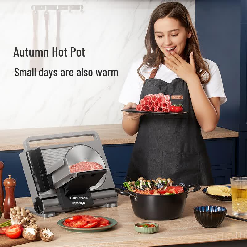 TERUISI GJ802 Electric Stainless Steel Meat Slicer