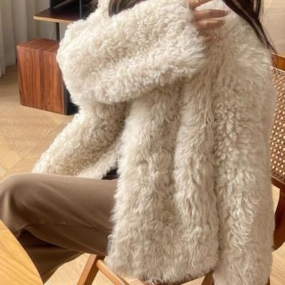 Autumn and Winter New Fur Integrated Lamb Plush Imitation Fur Coat Women's Coat Short Curly Top