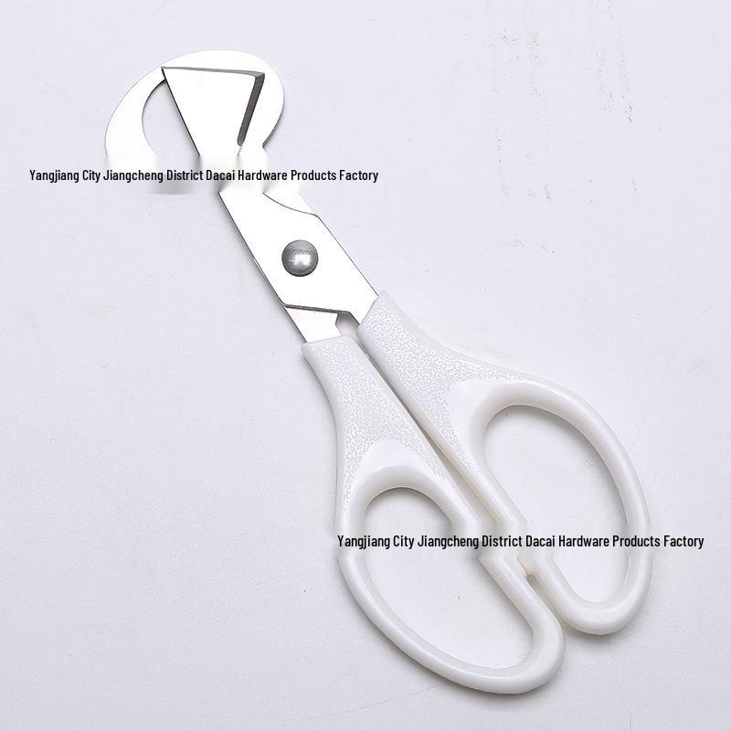 Stainless Steel Multifunctional Egg Slicer & Separator for Kitchen Quail and Bird Eggs