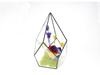 Geometric Glass Rhombus Greenhouse Ornament: European Wine Cabinet Micro Landscape & Preserved Flower Pot Craft