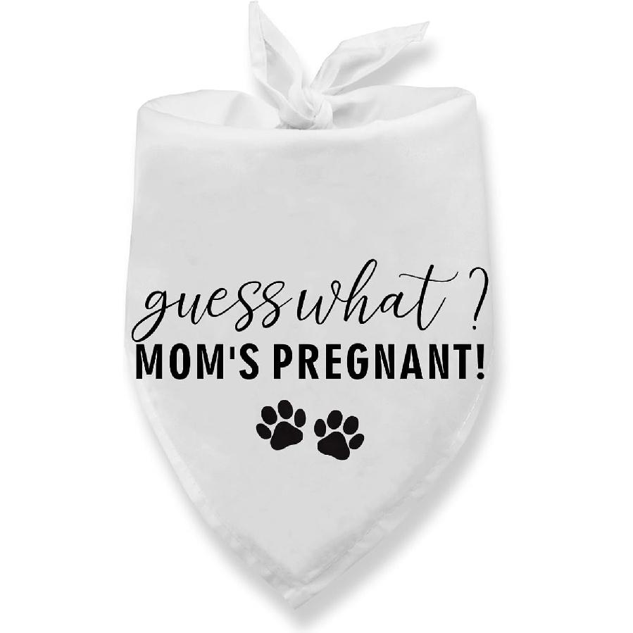 Guess What? Mom s Pregnant Dog Bandana Pregnancy Announcement Baby Announcement Dog Bandana for Dogs Pregnancy Announcement Gender Reveal Pet Scarf