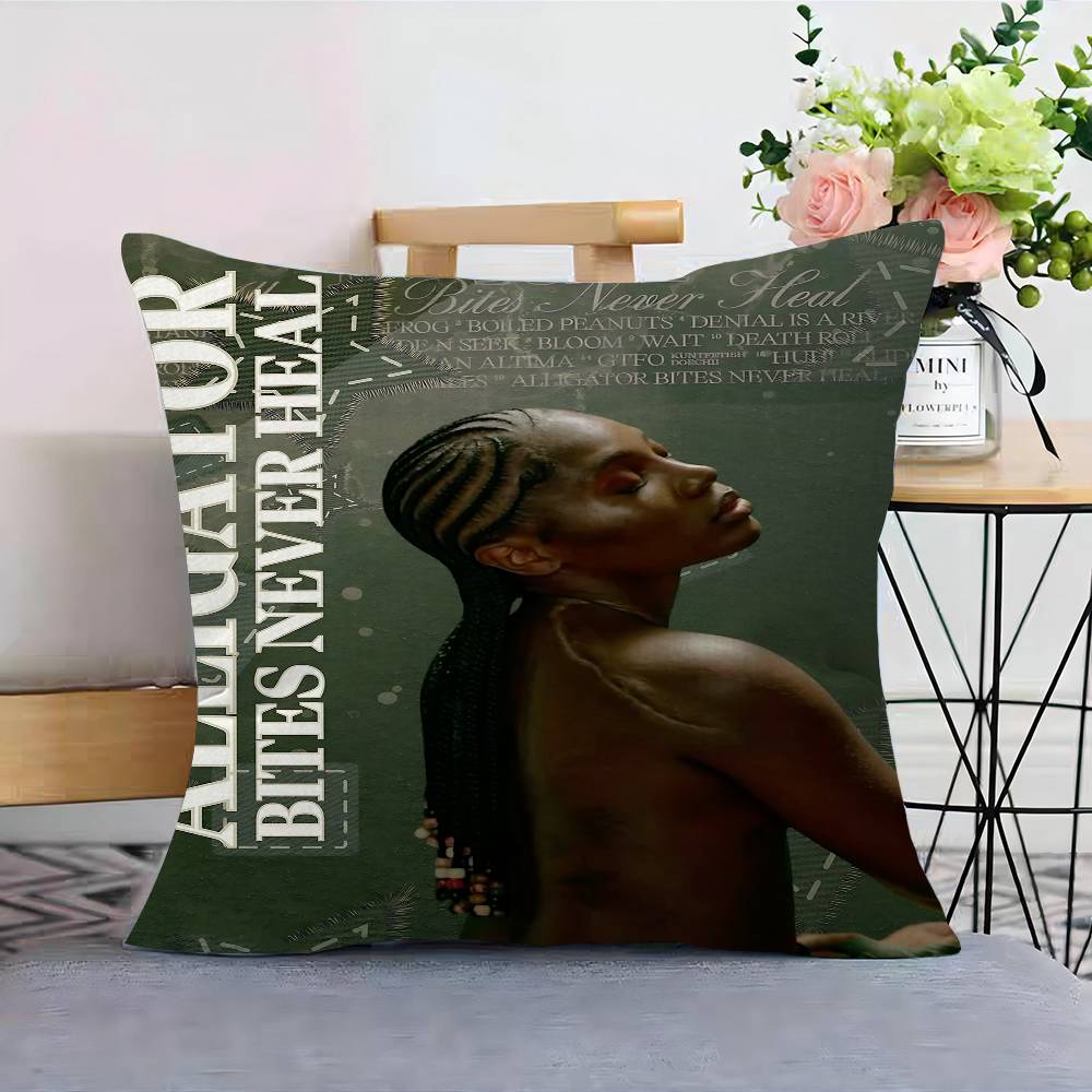 D-Doechii Cushion Cover Polyester Sofa Cushions Decorative Throw Pillows Home Decoration Pillowcover