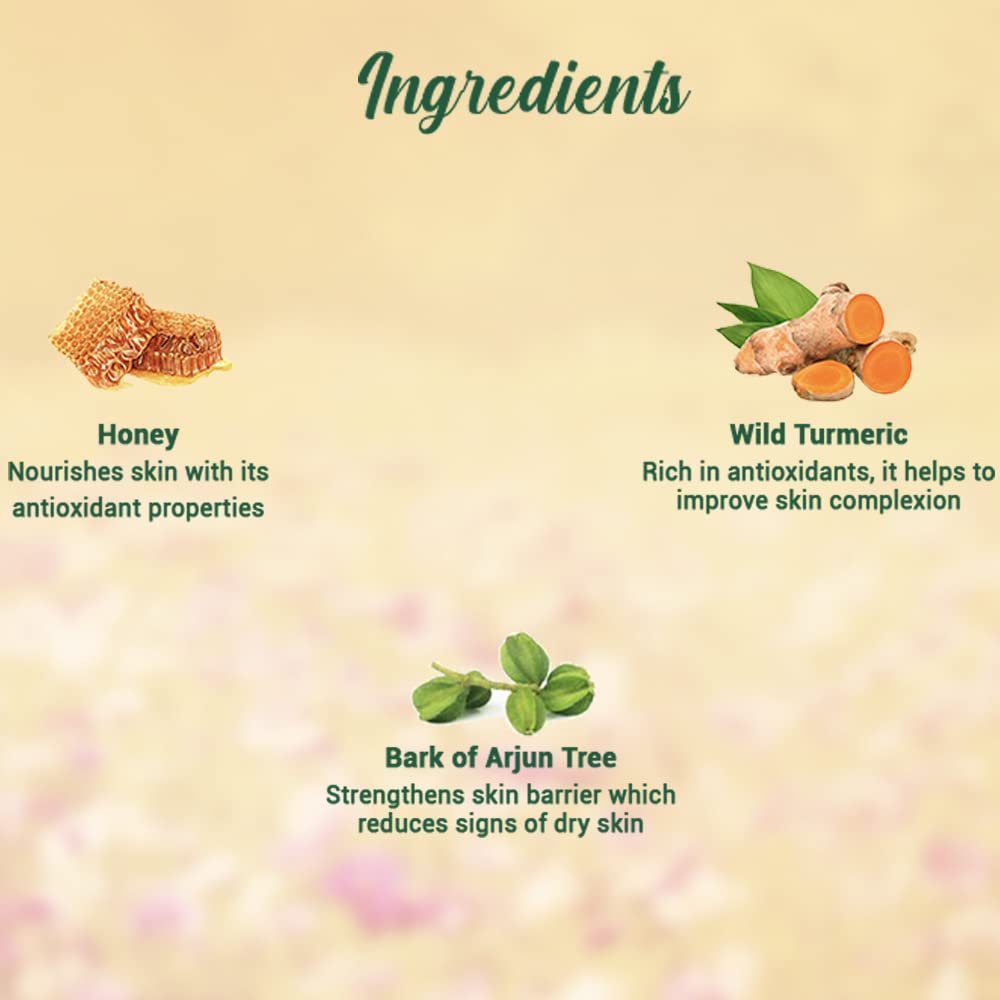 Biotique Honey Gel Foaming Face Wash 100ml | Soap Free Hydrating Cleanser | Reduce Dryness | 100% Botanical Extracts | All Skin Types