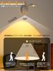 1 Bracket Light, Wall Picture Light, 2000mAh USB Rechargeable, LED Wall Lamp, Indirect Lighting, Stylish, 3-Color Dimming, Stepless Dimming, Motion
