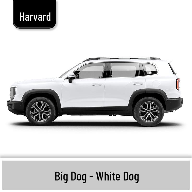 Haval Big Dog Car Scratch Repair Paint Pen - White, Black, Gray, Orange