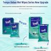 Tempo Hygiene Wet Wipes & Handkerchief Tissue Combo