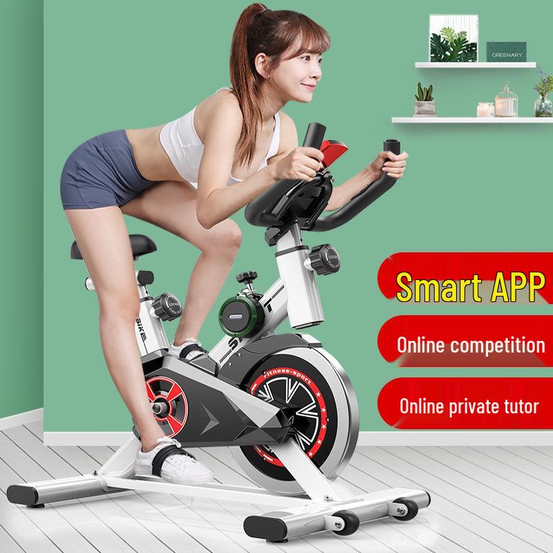 Dynamic Indoor Exercise Bike - Super Silent Fitness Equipment for Weight Loss