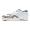 Jordan 4 Stanze Blu Diffuso Grigio Cenere Jordan FQ7939-101