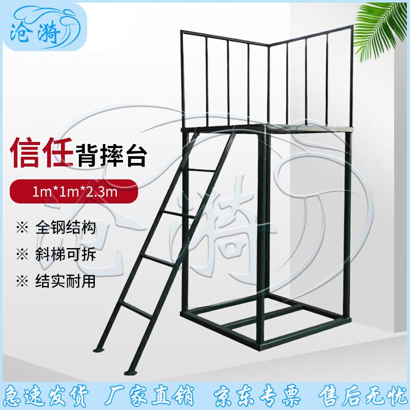 Outdoor Team Building Trust Fall Platform