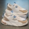 Men's Breathable Mesh Trendy Brand Versatile Sports Leisure Shoes Students Running Thick Soled Height Increasing White Dad