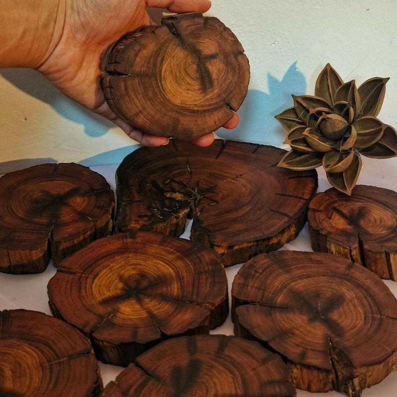 Holz Untersetzer Tisch Tassenmatte Küchenmatte Pad Für Bar Cocktail 1Stück 6-12cm (Durchmesser) Winter süßes Holzscheiben Barzubehör