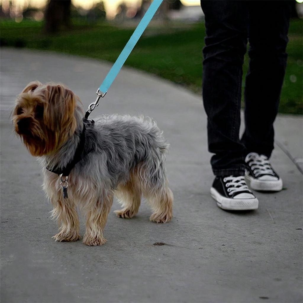 1pc Pet Car Belt, Dog Cat Car Leash, Retractable Backseat Pet Tether, Keep Your Dogr! Dog Outing Dog Stuff