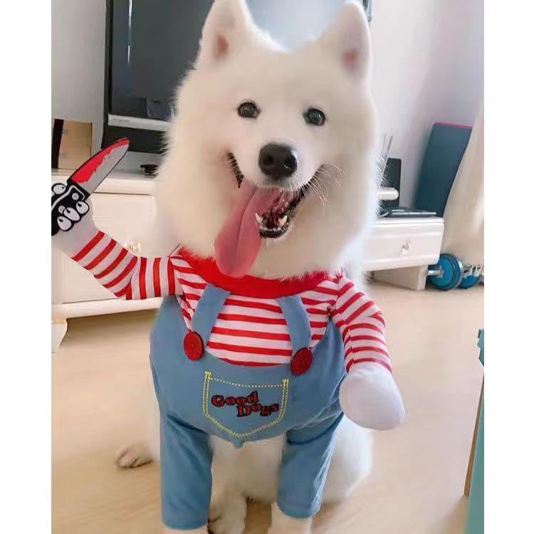 Costum festivă pentru câine: Costum de Crăciun și Halloween cu cuțit pentru câini de talie mică - Stil toamnă/iarnă