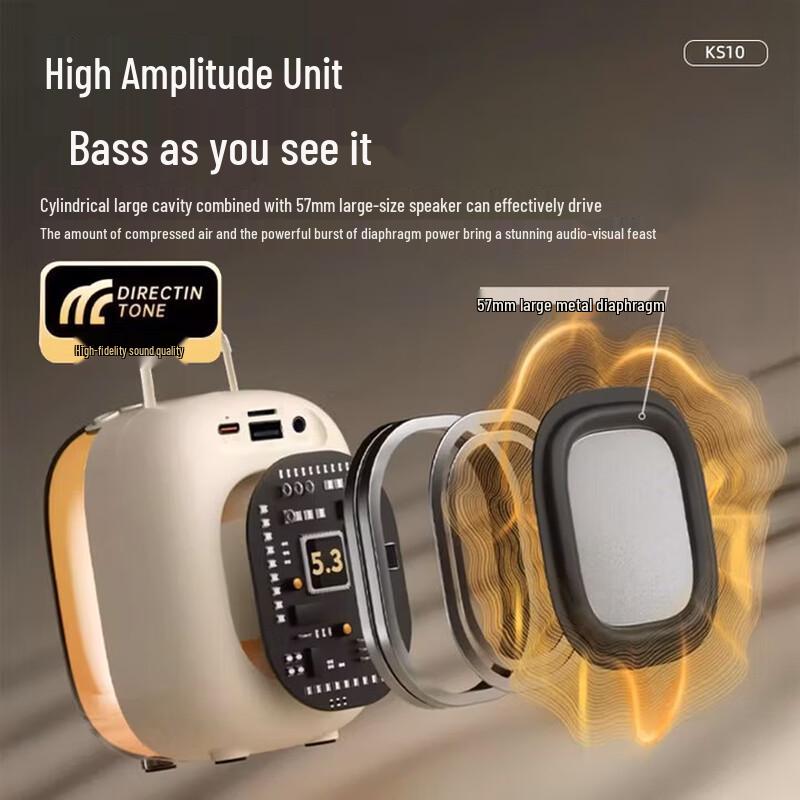 Newman KS10 Portable Bluetooth Karaoke Speaker