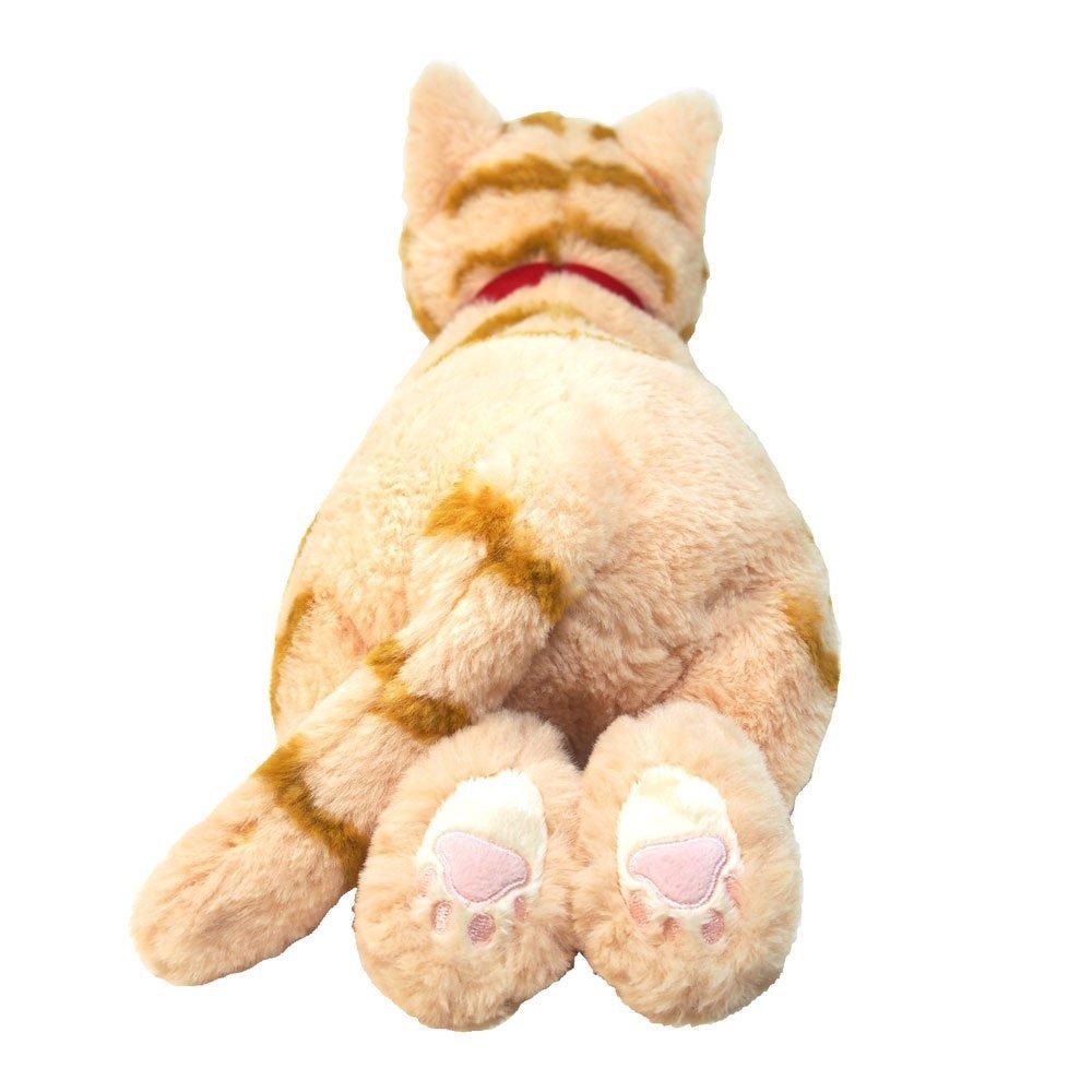 Sun Lemon Knee Cat Brown M 25 x 39 x 12cm Stuffed Animal P-1812