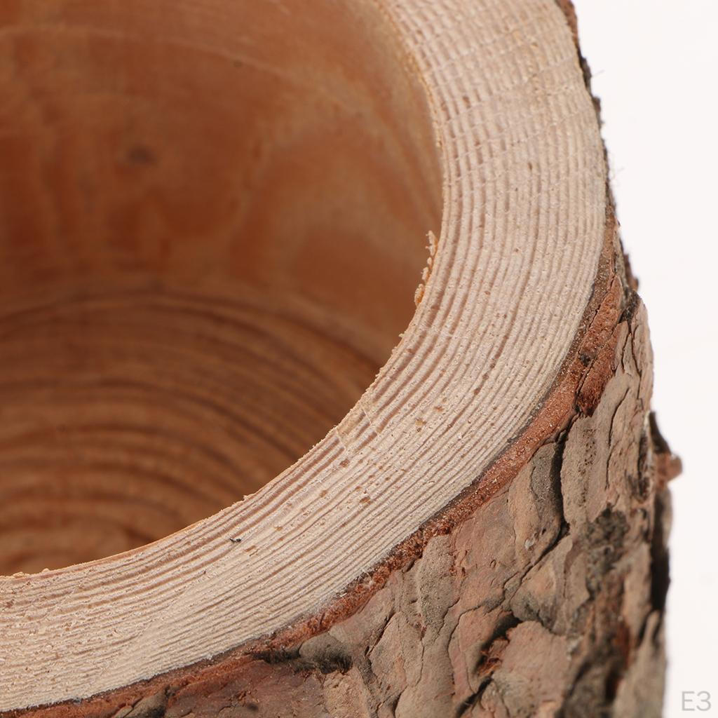 Pflanzen Blumentopf Baumstümpfe Bonsai-Gefäß