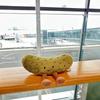 Cute Pickle Stuffed Animal Vegetable Toy Doll for Friends Coworkers Children 15cm