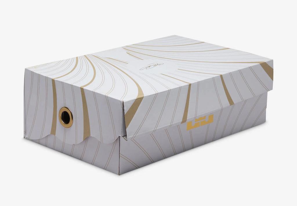 FV2345-001 Nike LeBron 21 Akoya (Men's)